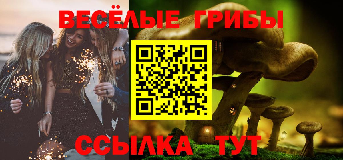 Псилоцибиновые грибы Psilocybe  Вход с VPN  Спасск-Дальний 